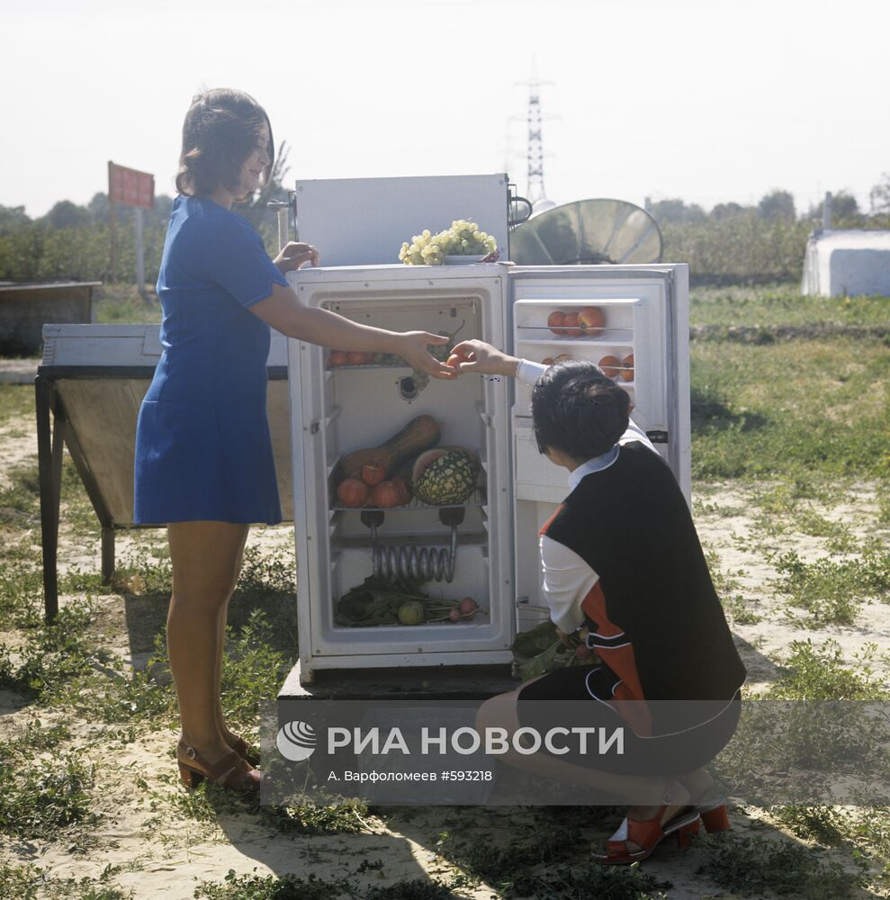 Холодильник, работающий от солнечной батареи | РИА Новости Медиабанк