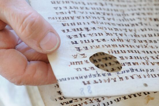 Папирусная книга XIII века