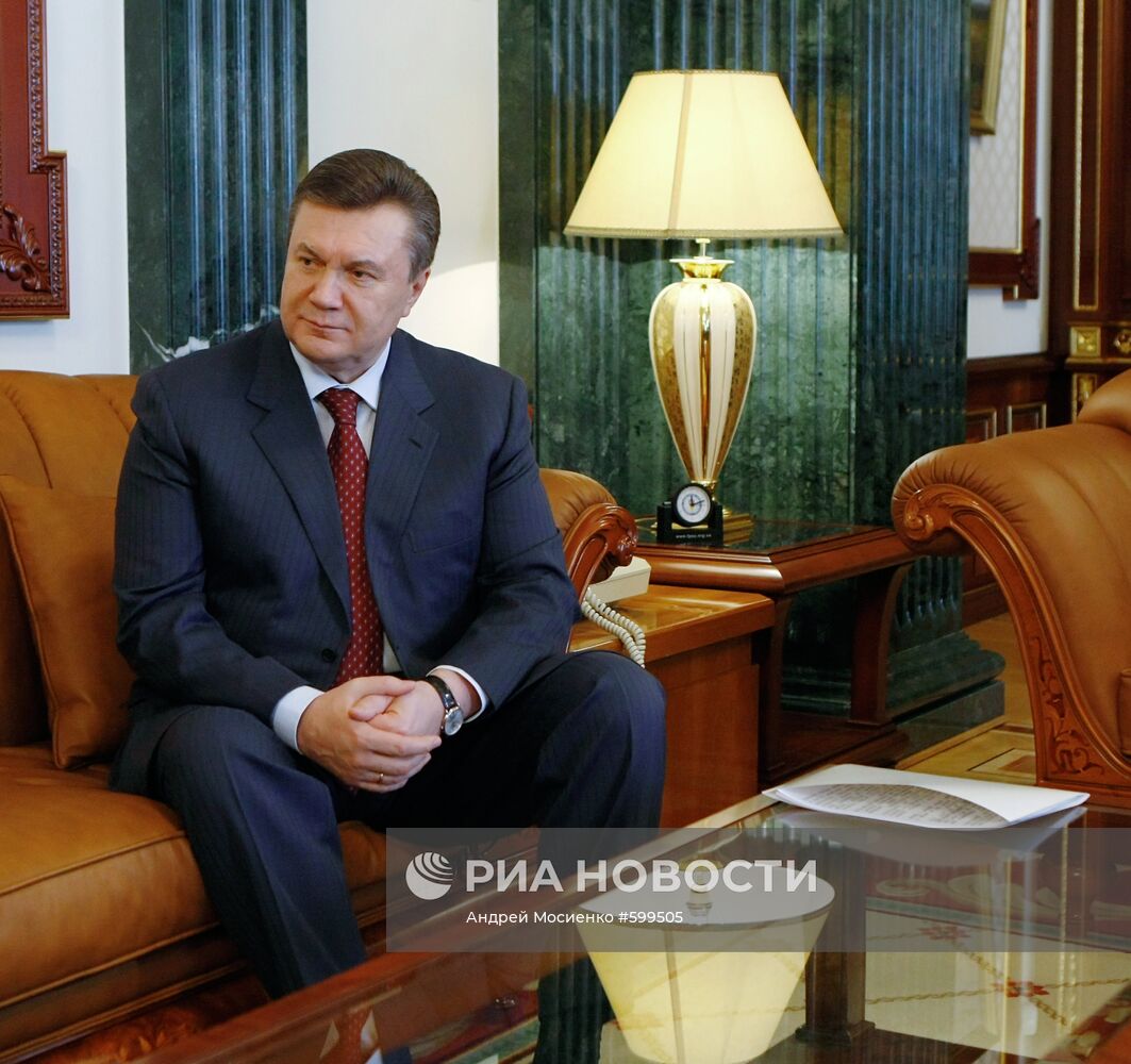 Президент Украины В.Янукович встретился с Б.Ступкой в Киеве