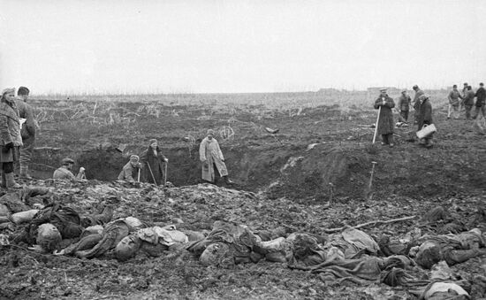 Великая Отечественная война 1941-1945 гг