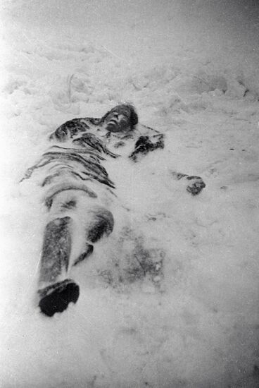 Великая Отечественная война 1941-1945 гг.