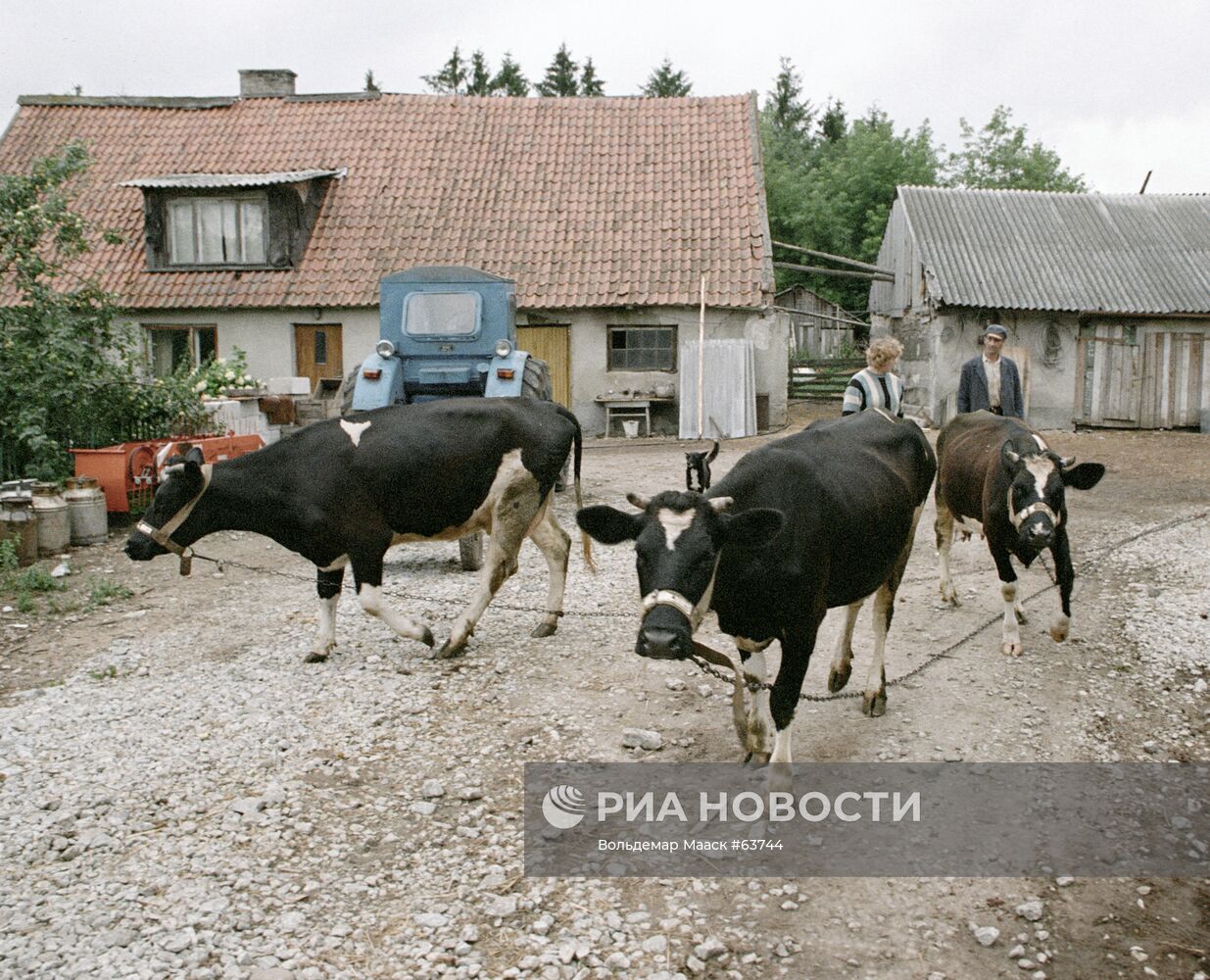 ХОЗЯЙСТВЕННОЕ ПОДВОРЬЕ