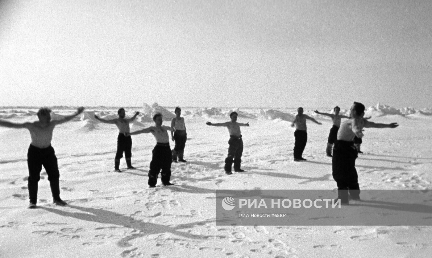 Полярники