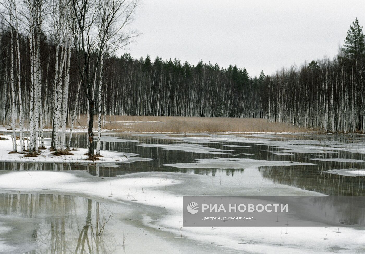 Весенний паводок