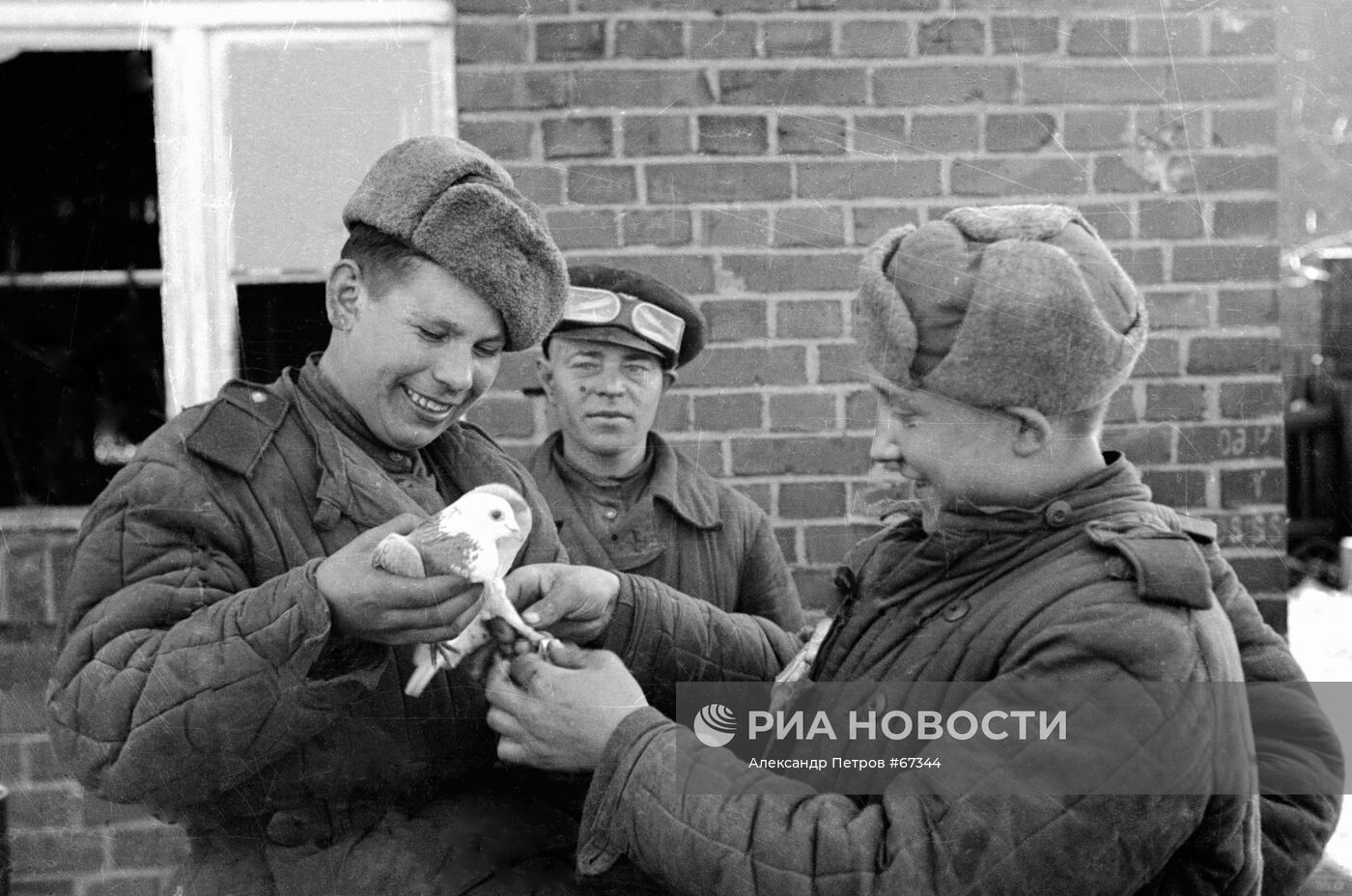 Великая Отечественная война 1941-1945 гг.