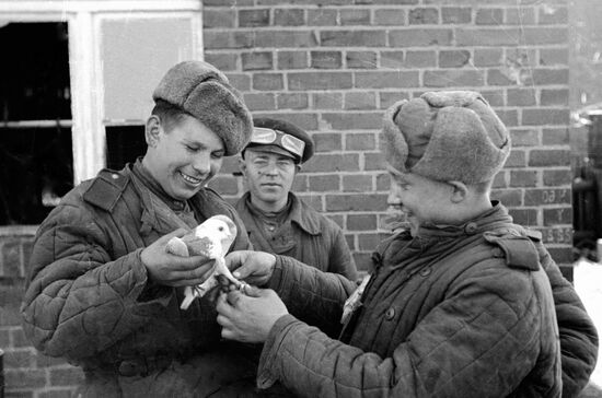 Великая Отечественная война 1941-1945 гг.