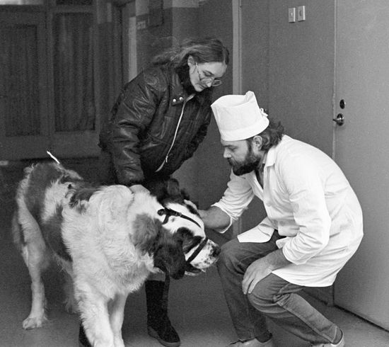 СОБАКА ВЕТЕРИНАР