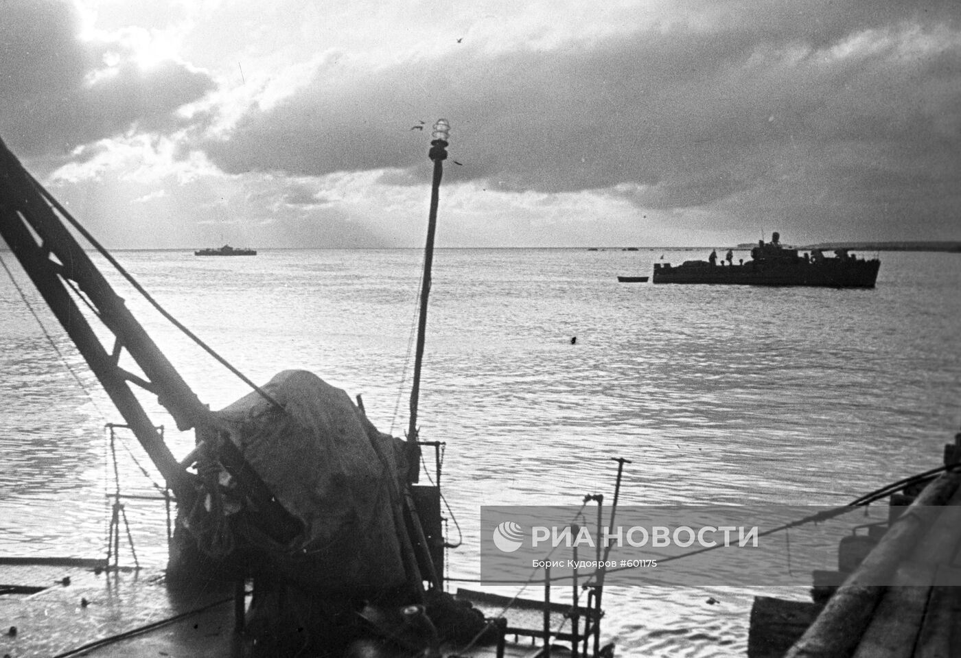 Великая Отечественная война 1941-1945 гг.