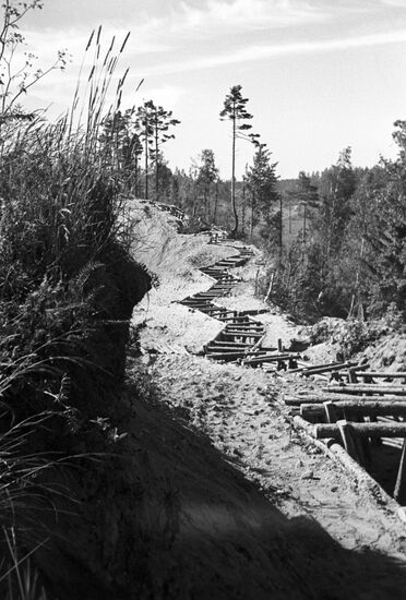 Великая Отечественная война 1941-1945 гг