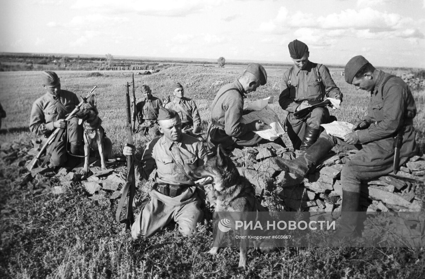 Великая Отечественная война 1941-1945 гг.