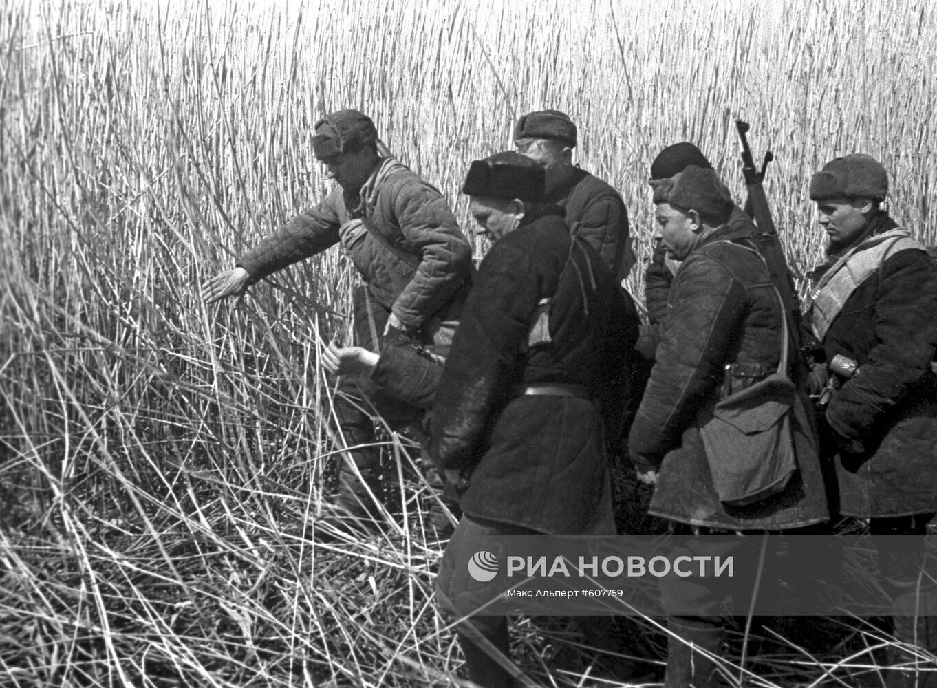 Великая Отечественная война. 1941-1945 гг.