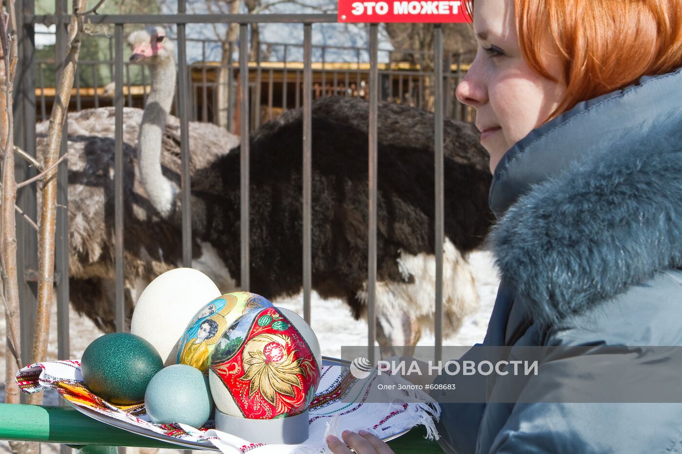 Роспись страусиных яиц пасхальными рисунками