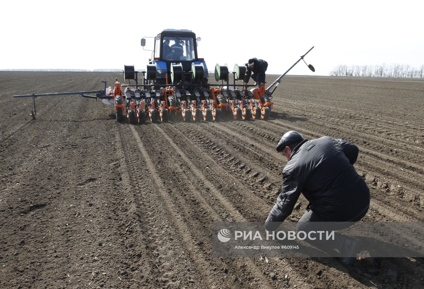 Проверка качества посадки лука