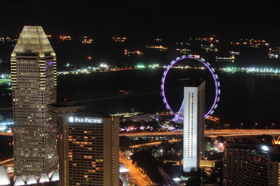 Вид на колесо обозрения Singapore Flayer