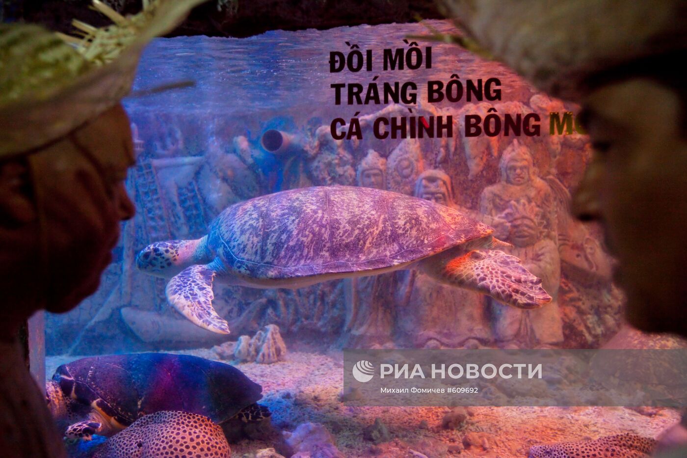 Посетители у аквариума с реликтовой черепахой