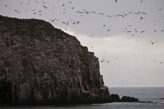 На тихоокеанском побережье в городе Конститусьон