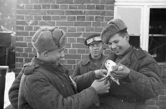 Великая Отечественная война 1941-1945 гг.