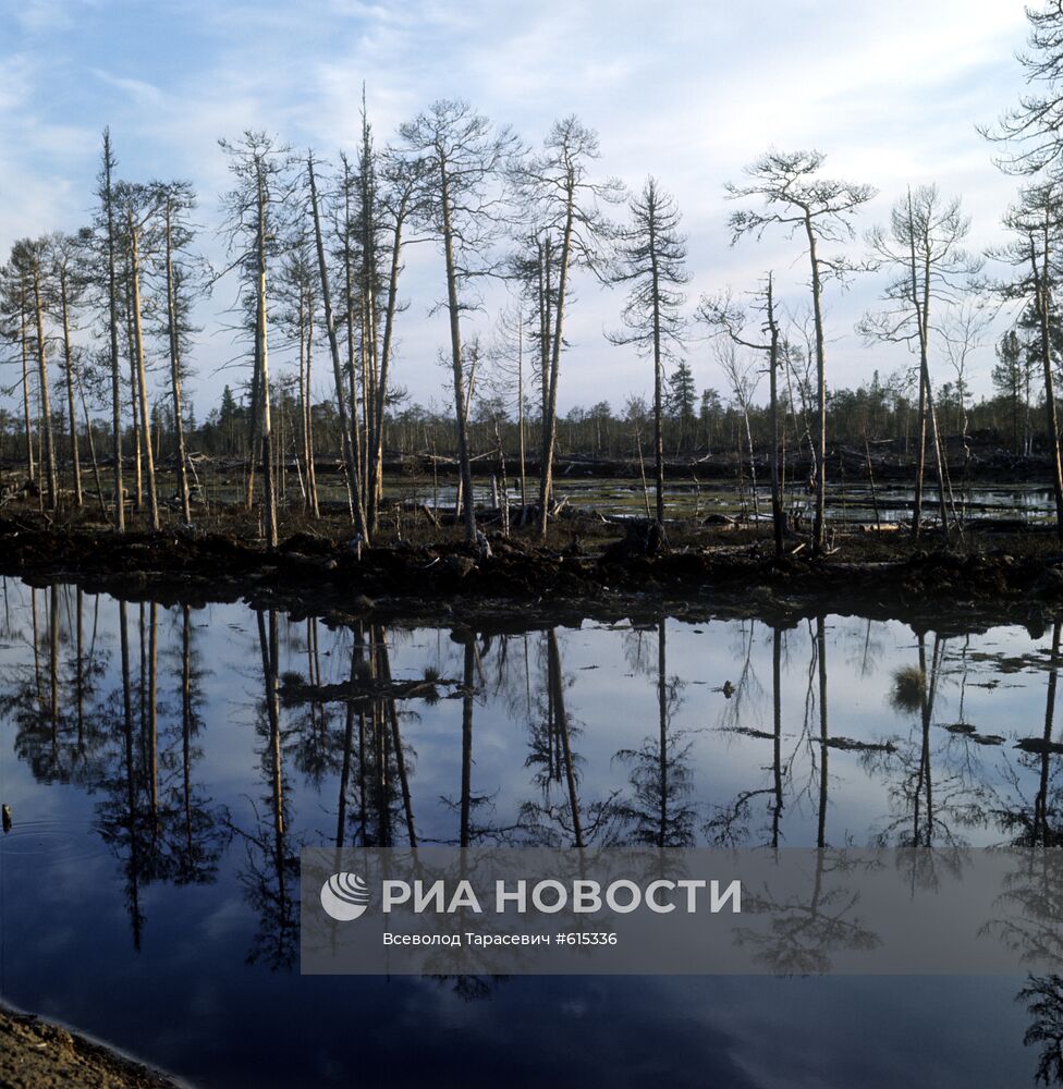 Озеро Самотлор | РИА Новости Медиабанк