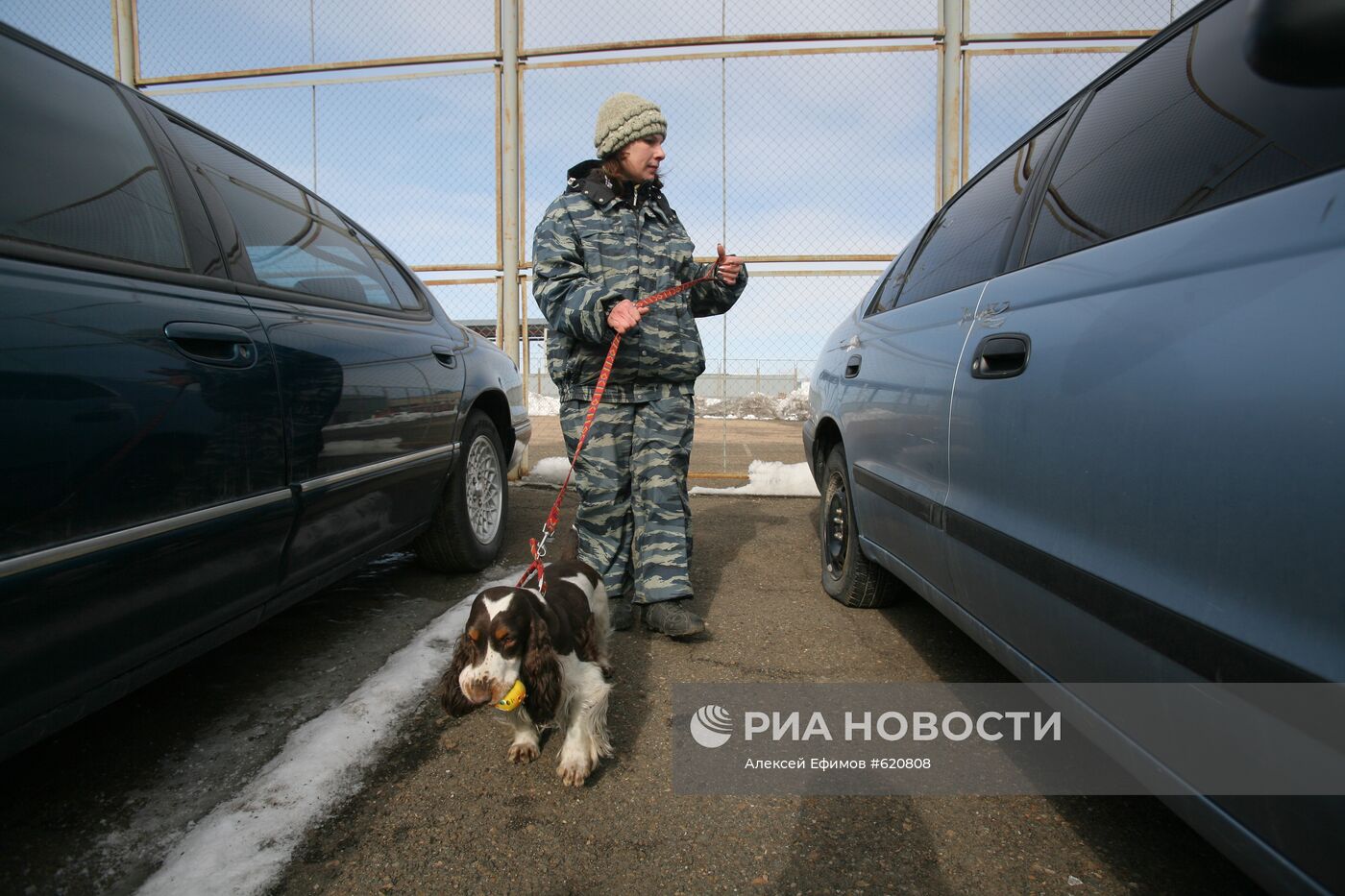 Чемпионат по многоборью среди кинологов в Новосибирске