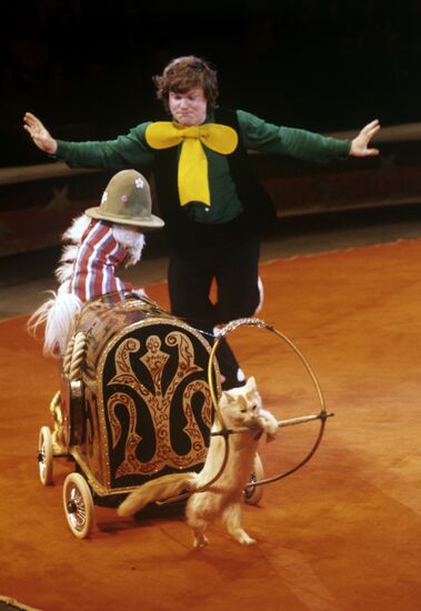 Номер дрессировщика Юрия Куклачева с кошками