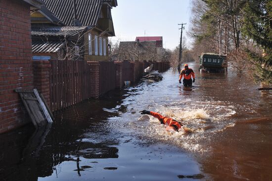 Подтопление домов в Ленинградской области