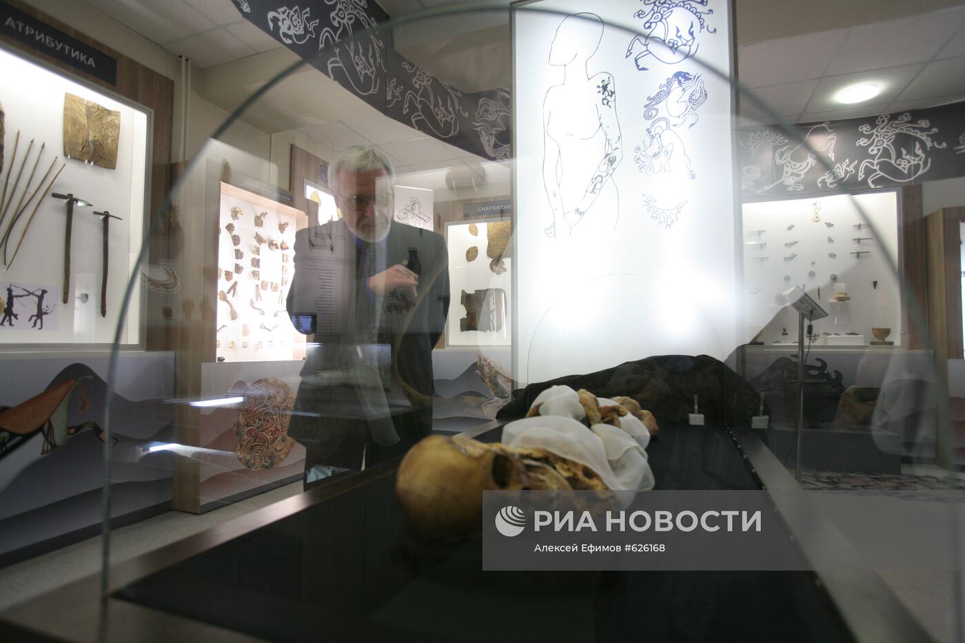 Вячеслав Молодин осматривает мумию "алтайской принцессы"