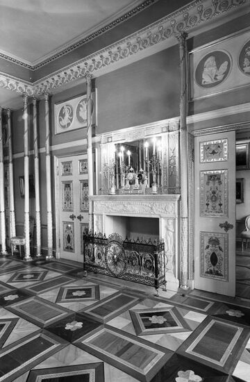 Камин в опочивальне Елизаветы Алексеевны