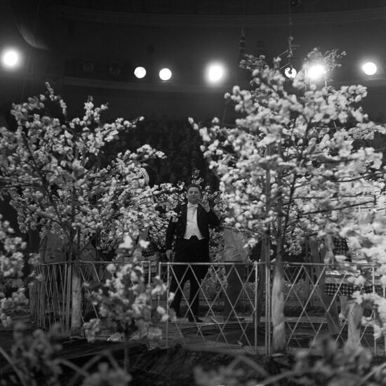 Большой Московский цирк