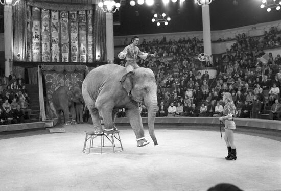 Ольга Денисова и Сорват Бегбуди во время выступления