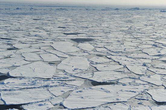 Льдины в Северном Ледовитом океане