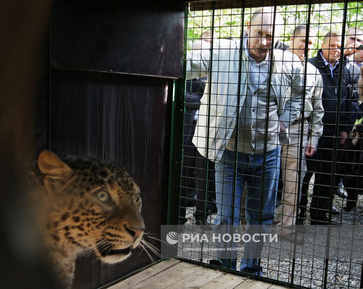 Владимир Путин посетил Сочинский национальный парк
