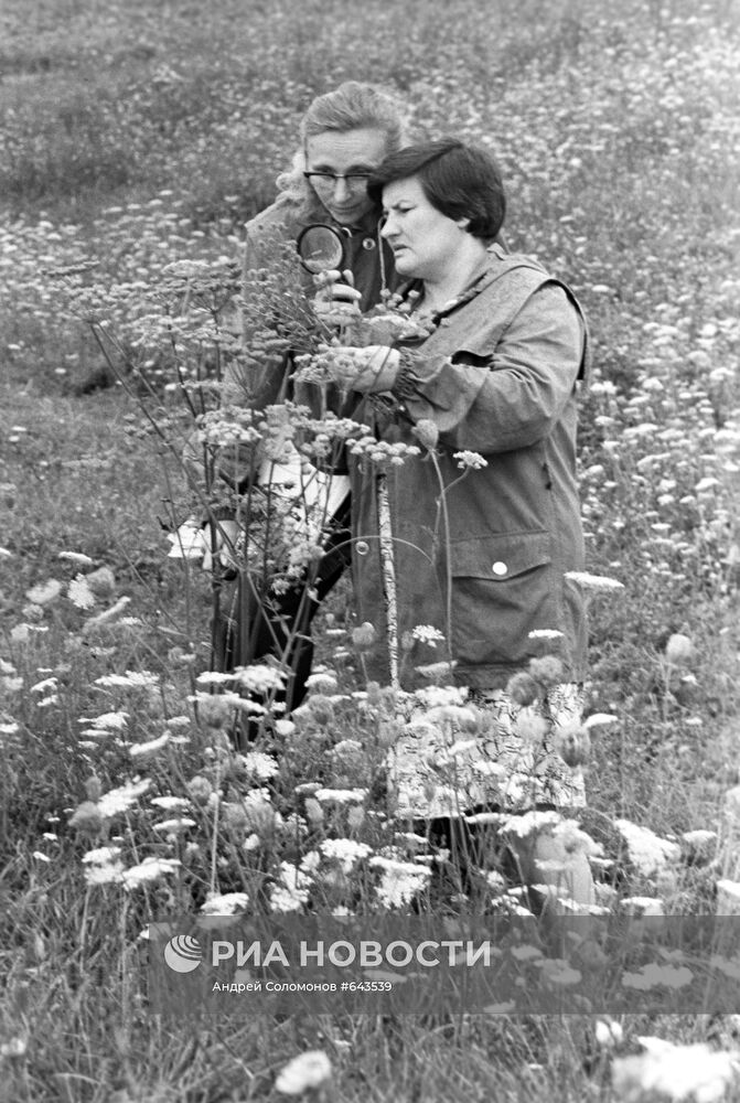 Работницы Припятского заповедника ведут учет растений