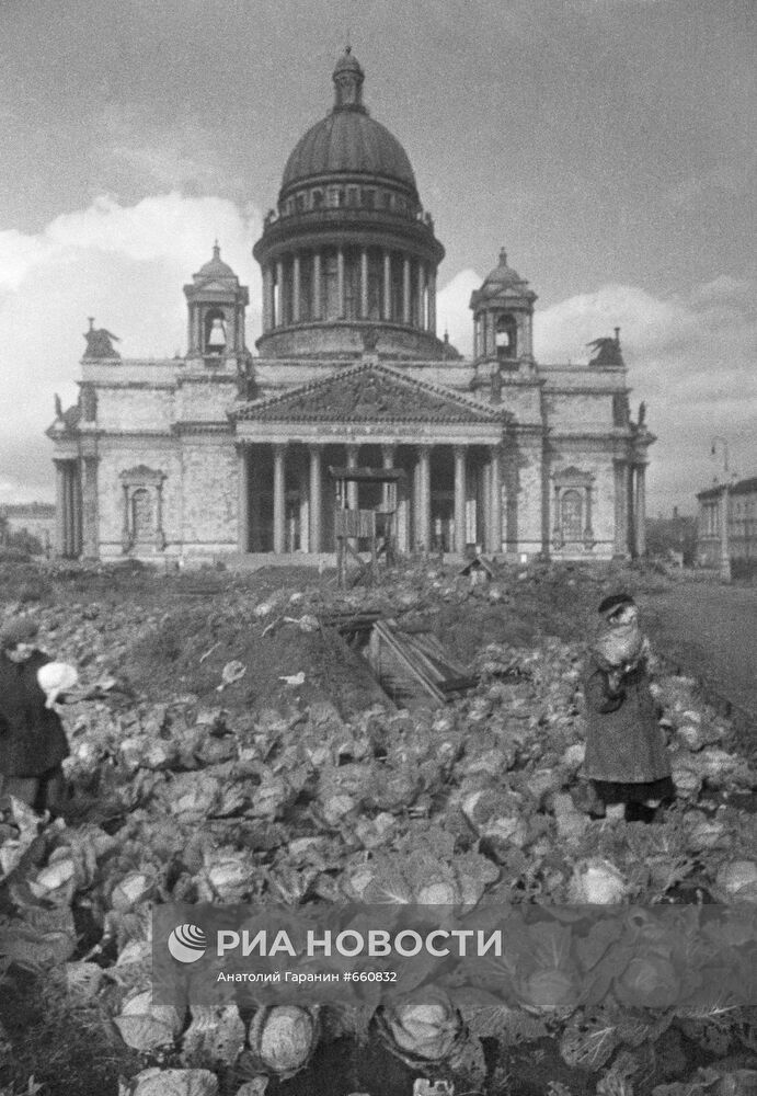 Великая Отечественная война 1941-1945 гг.