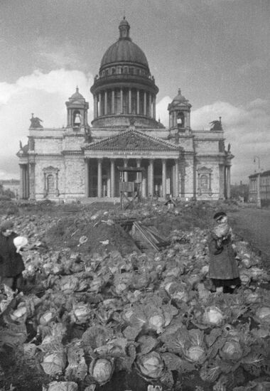 Великая Отечественная война 1941-1945 гг.