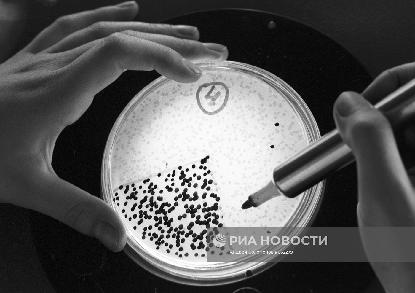 Институт молекулярной биологии Академии наук СССР