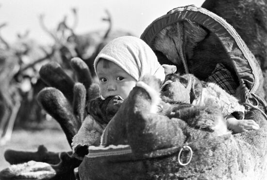 Ненецкий ребенок в люльке из шкур