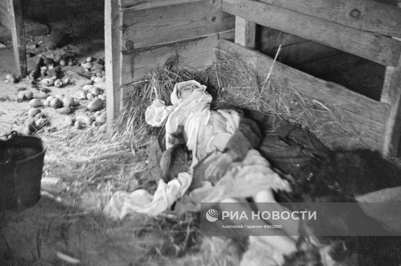 Великая Отечественная война 1941-1945 гг.