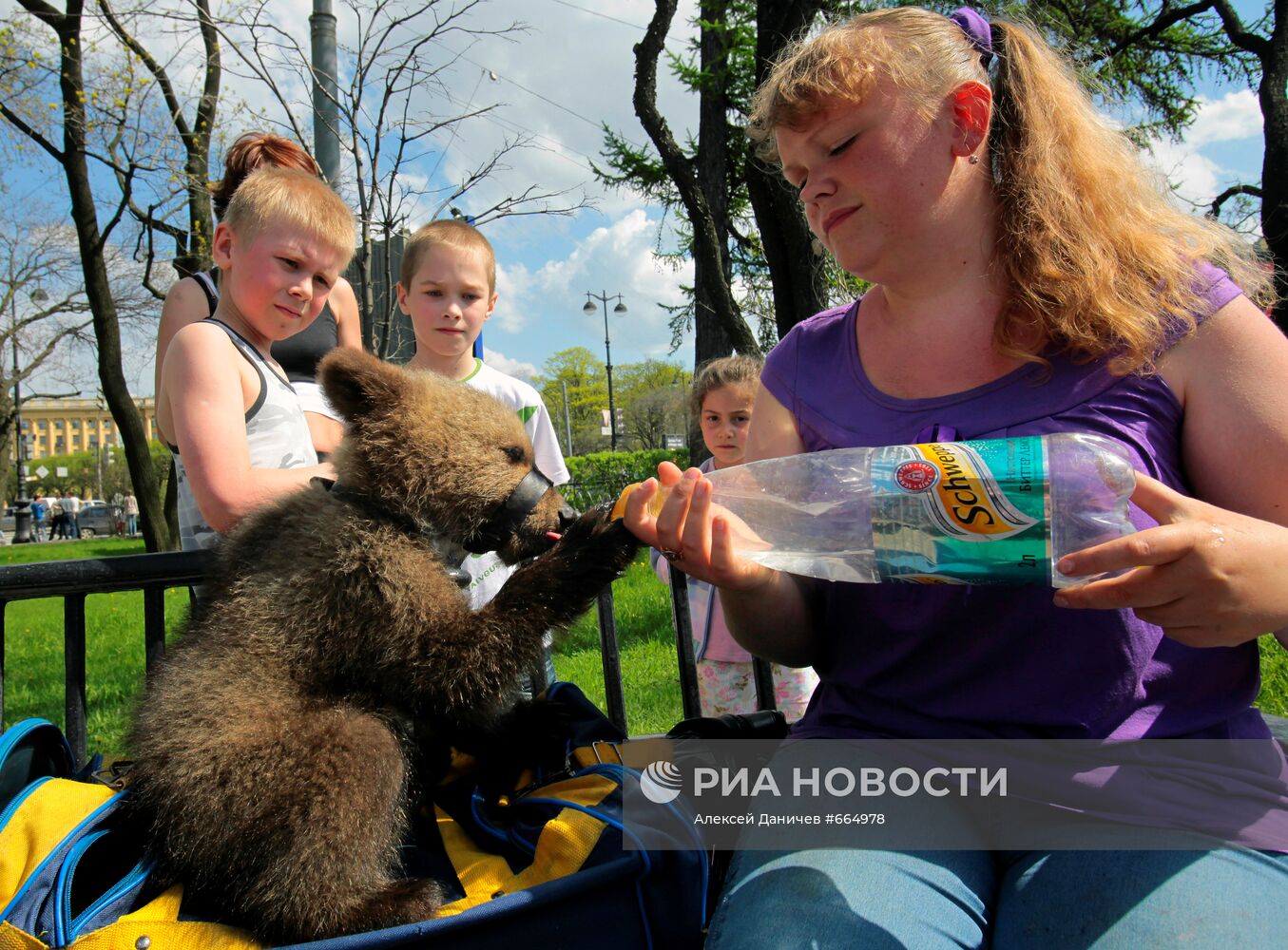 Медвежонок уличного фотографа