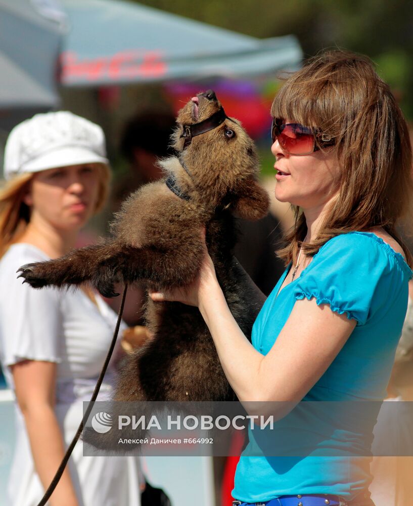 Медвежонок уличного фотографа