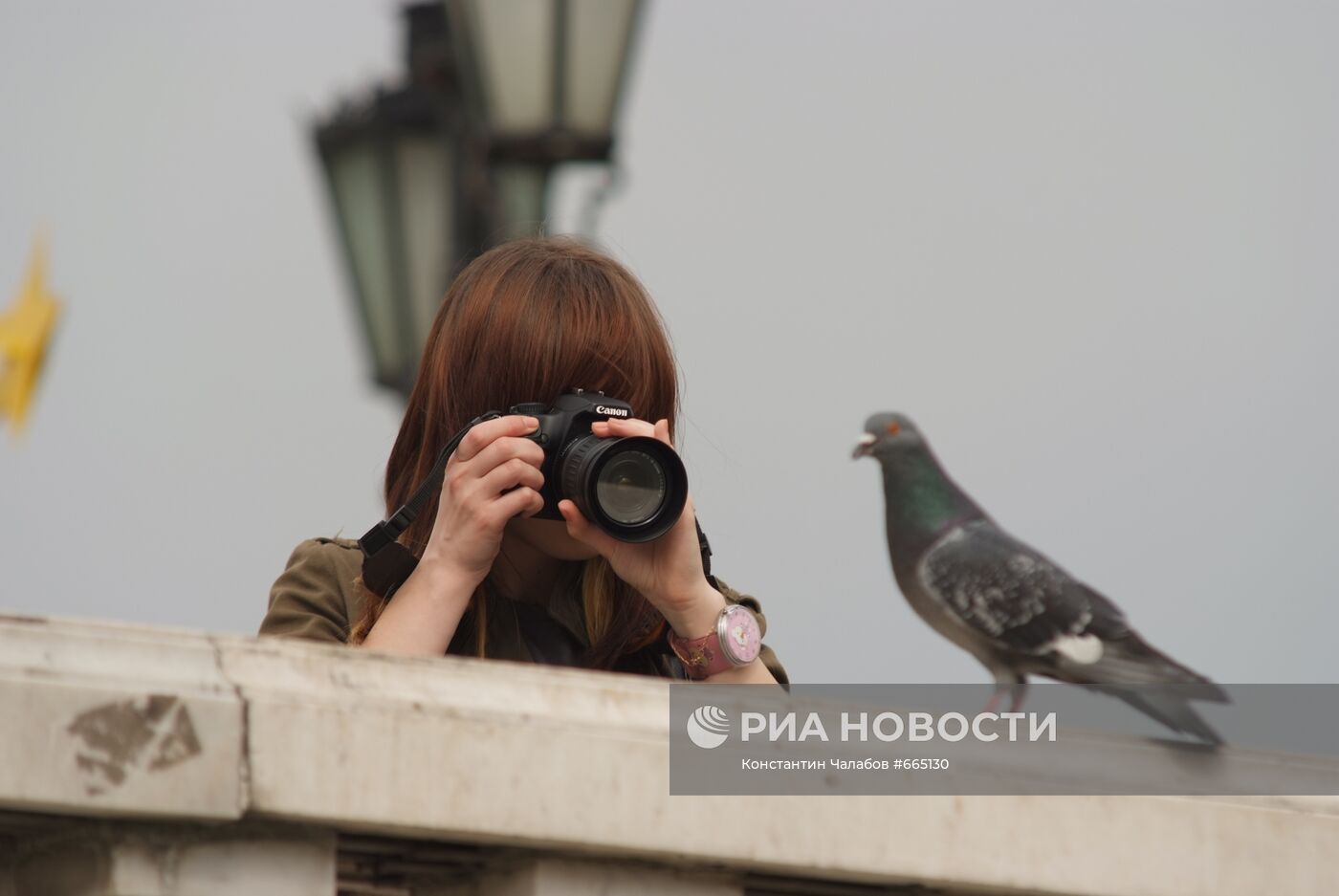 Девушка фотографирует голубя