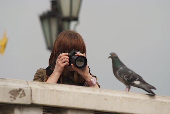 Девушка фотографирует голубя