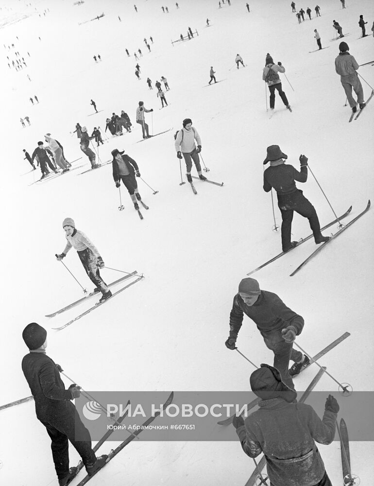 Лыжники в Подмосковье