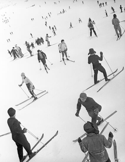 Лыжники в Подмосковье