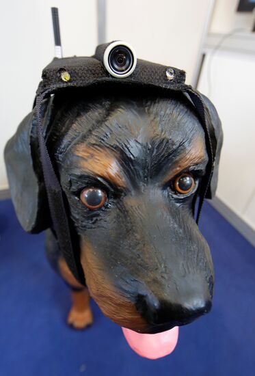 Беспроводная видеокамера "Мухтар" для собак-спасателей