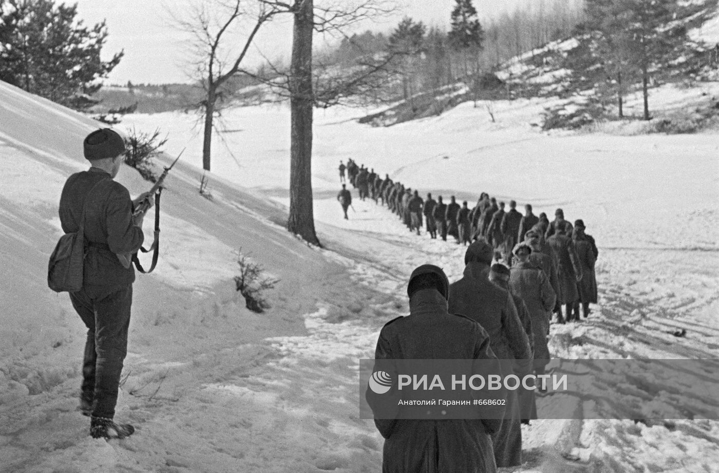 Великая Отечественная война 1941-1945 гг.