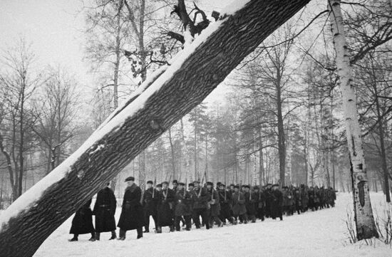 Великая Отечественная война 1941-1945 гг.