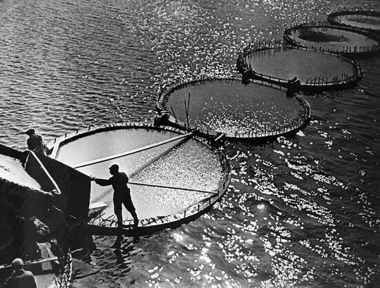 Фоторабота "Строительство в море"