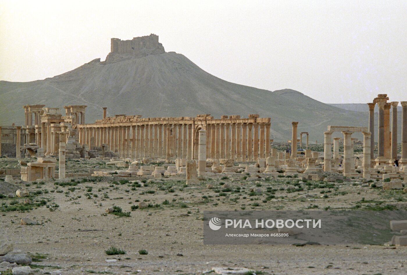 Руины древнего города Пальмиры