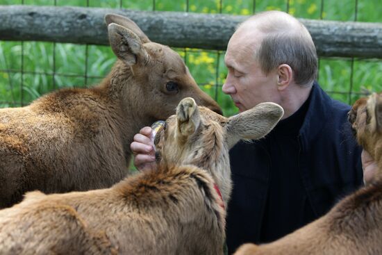 Владимир Путин посетил Лосиный остров
