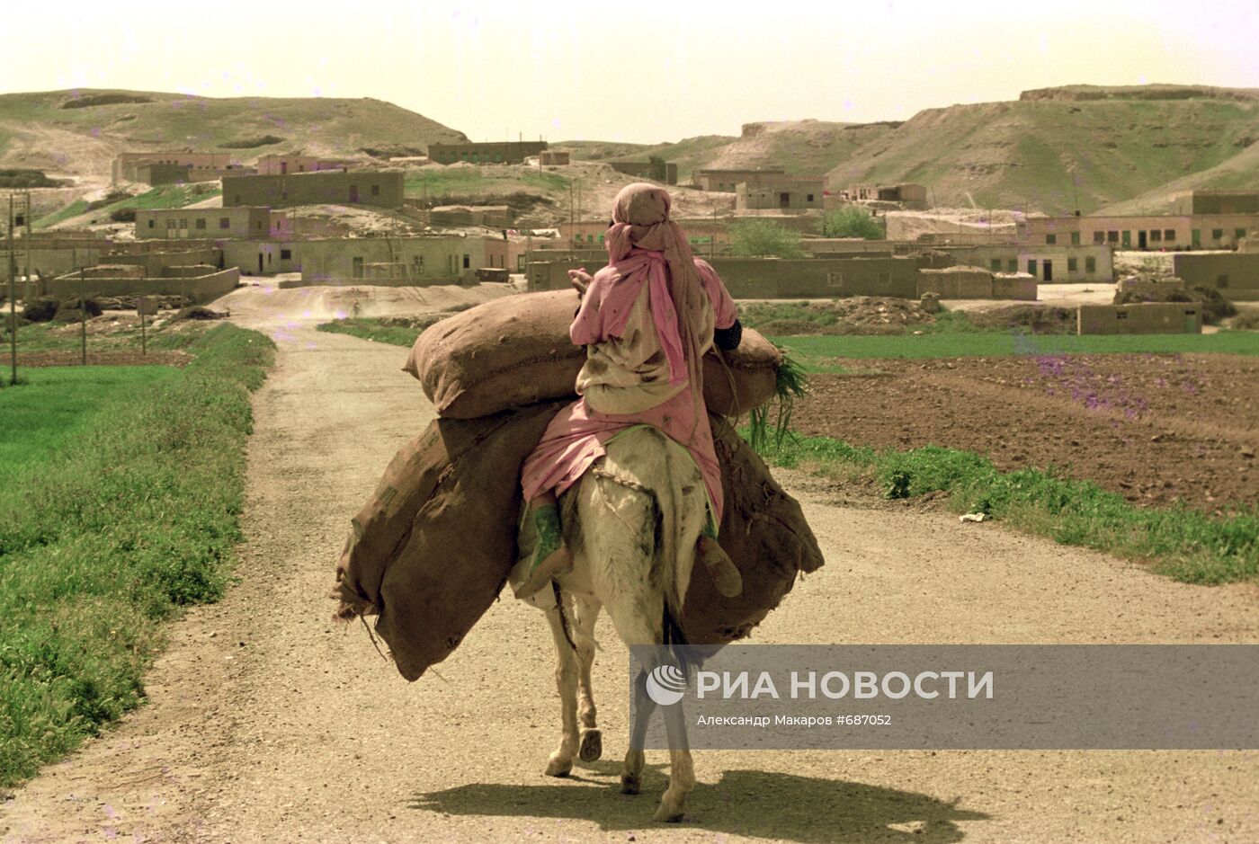 Крестьянин на осле везет груз